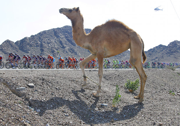 Dubai Tour 2015
