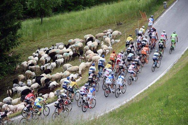 Giro d'Italia 2015